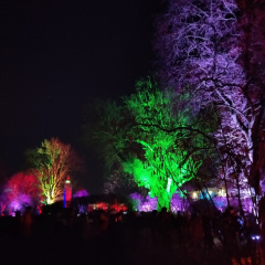 IMG 20230225 194104