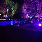 IMG 20230225 191414