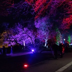 IMG 20230225 191302