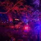 IMG 20230225 193609
