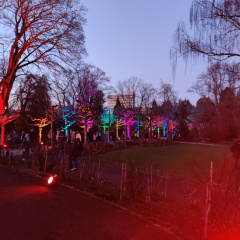 IMG 20230225 182918