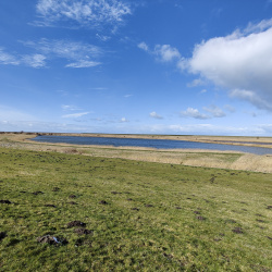 Ostfriesland März 23