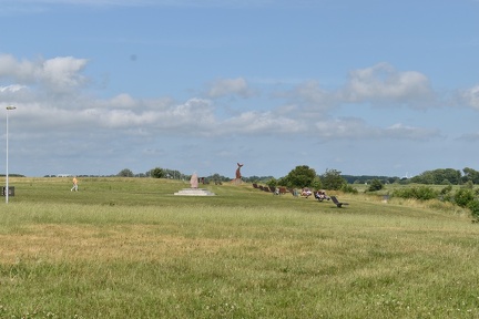 DSC 0125