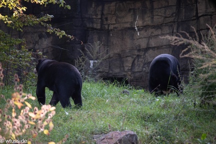 Burgers Zoo-0584