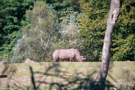 Burgers Zoo-0891