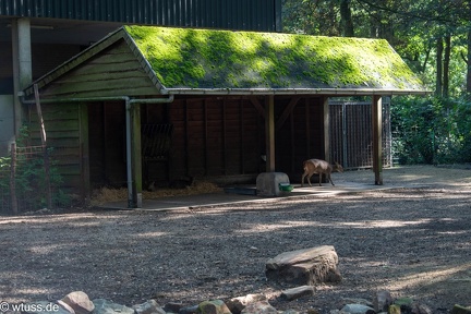 BurgersZoo-0012