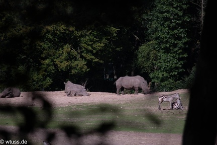 BurgersZoo-0879