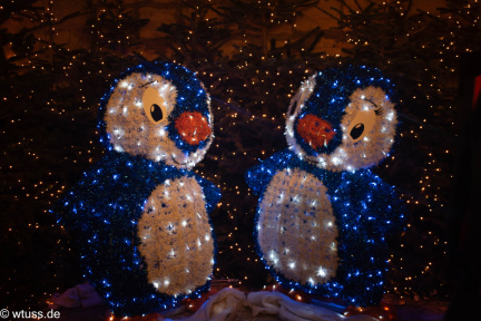 weihnachtsmarkt 23-0492